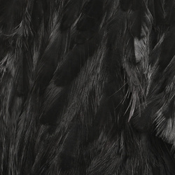 Hareline – Retalho de pele com penas para soft hackle e marabou