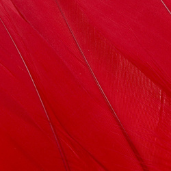 FFGene Goose Shoulders