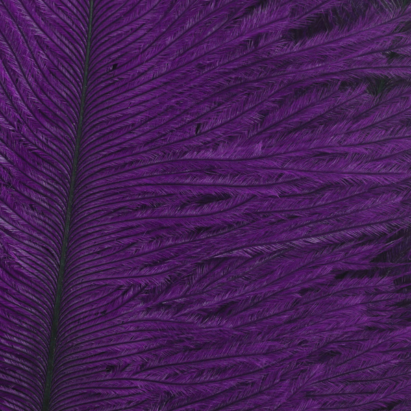 Wapsi Ostrich Marabou