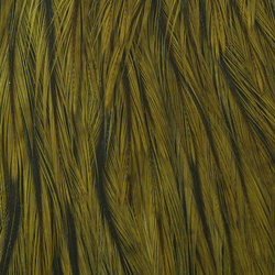 Wapsi Dry Fly Rooster Necks