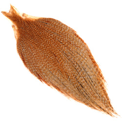 Keough Hackle kakas nyakbőr Masters