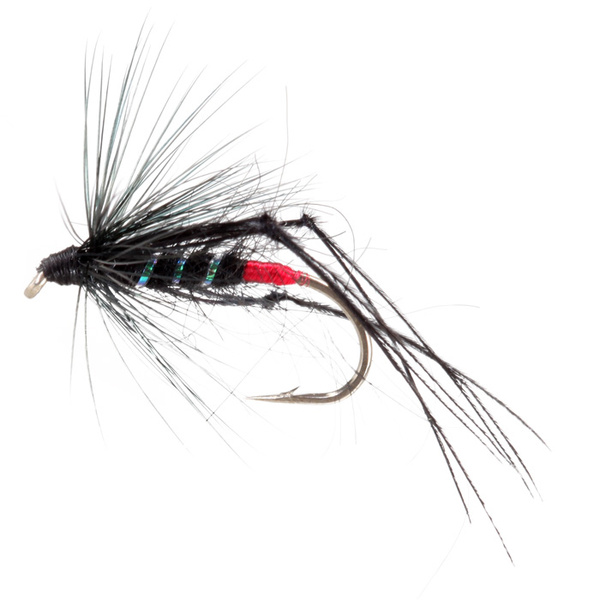 Bristol Hopper Black Red