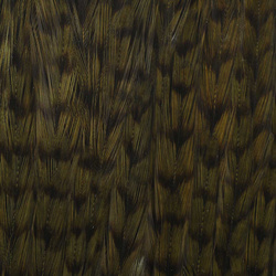 Ewing Grizzly Whole Capes