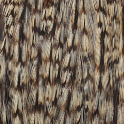 Wapsi Dry Fly Rooster Necks