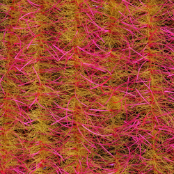 EP Tarantula Hairy Legs Brush 0.5 in. Wide