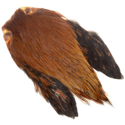 FFGene India hanennekbalg Class AA
