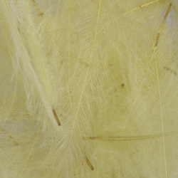 FFGene CDC Feathers color 1 gr