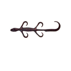 Yum Lizard YL6 소프트 루어 15.2cm (10개)