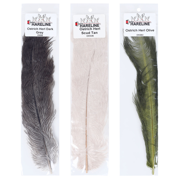 Hareline strutsinsulan haivenet