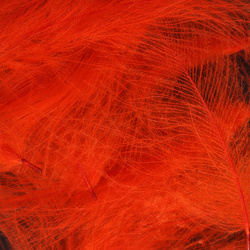 FFGene CDC Colors Selected One by One