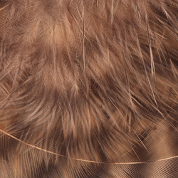 Weiche Grizzly-Hechelfedern – Hareline