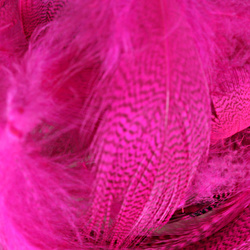 Hareline Mallard Flank