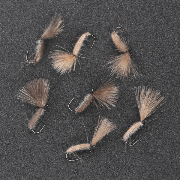 CDC Beetle Brown