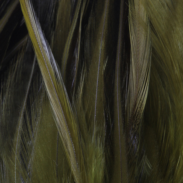 FFGene Strung Saddle Hackle