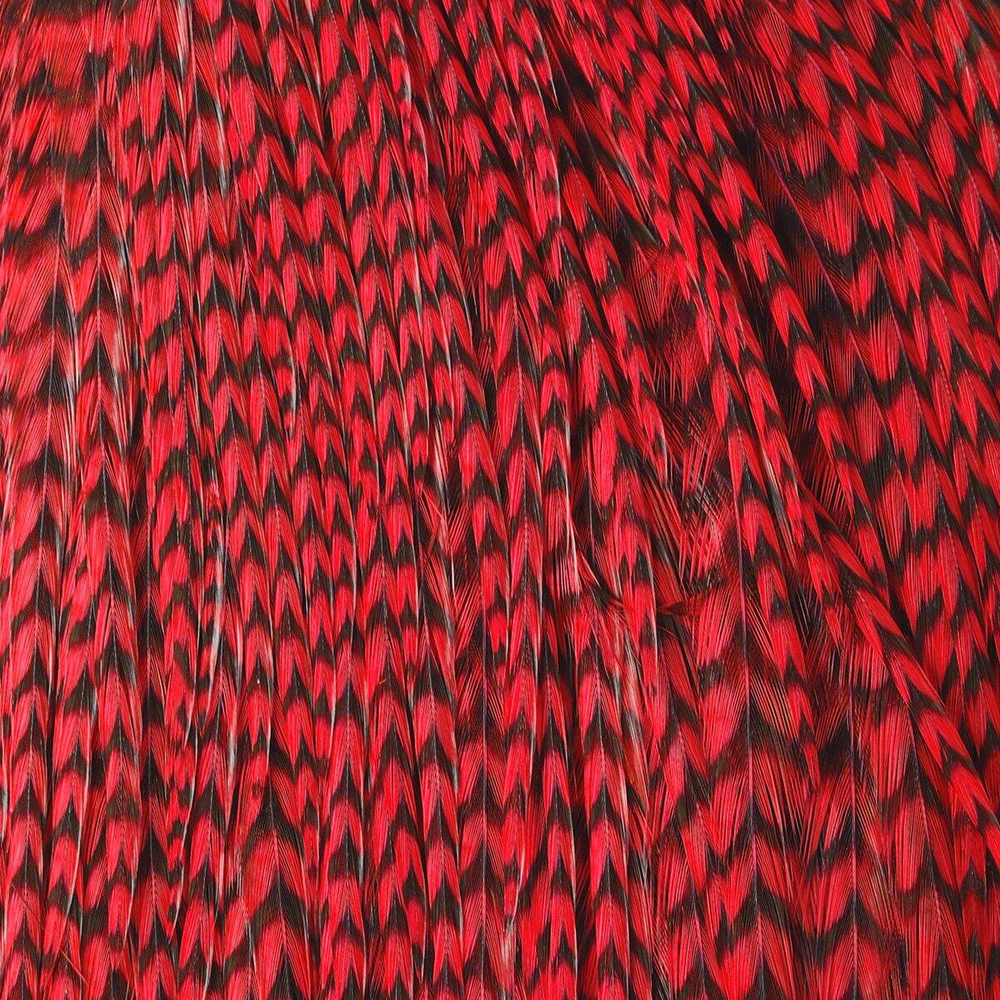 Grizzly Red
