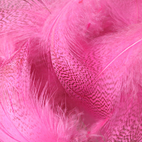 Hareline Flankfjädrar från gräsand