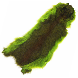 Wapsi terve männiorava nahk