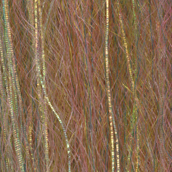 H2O Flash N Slinky 12 inch (flash)