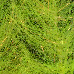 H2O Flash Blend Baitfish Brush 2 inch (flash)