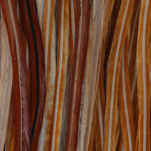 Atmungsaktive Wathose Taimen Expert