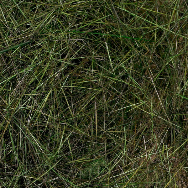FFGene Nutria Dubbing