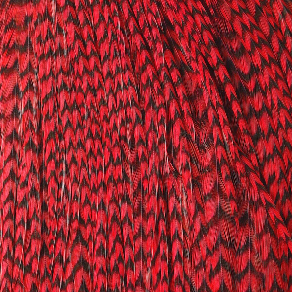 Hareline half nekvel