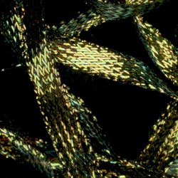 Sybai Mirage Braidback -  3.5 mm