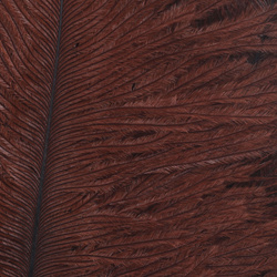 Wapsi Ostrich Marabou