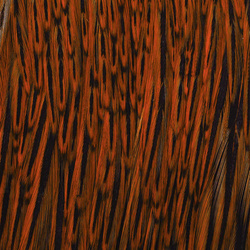 Wapsi Dry Fly Rooster Necks