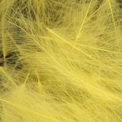 Wapsi CDC. Cul-De-Canard