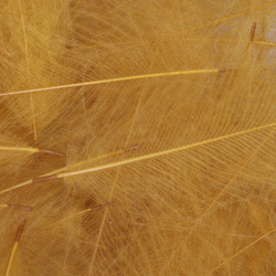 Окрашенные перья CDC FFGene — 1 gr