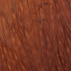 Wapsi Dry Fly Neck Select Sections Butt