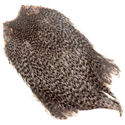 FFGene India Cock Cape Class Top