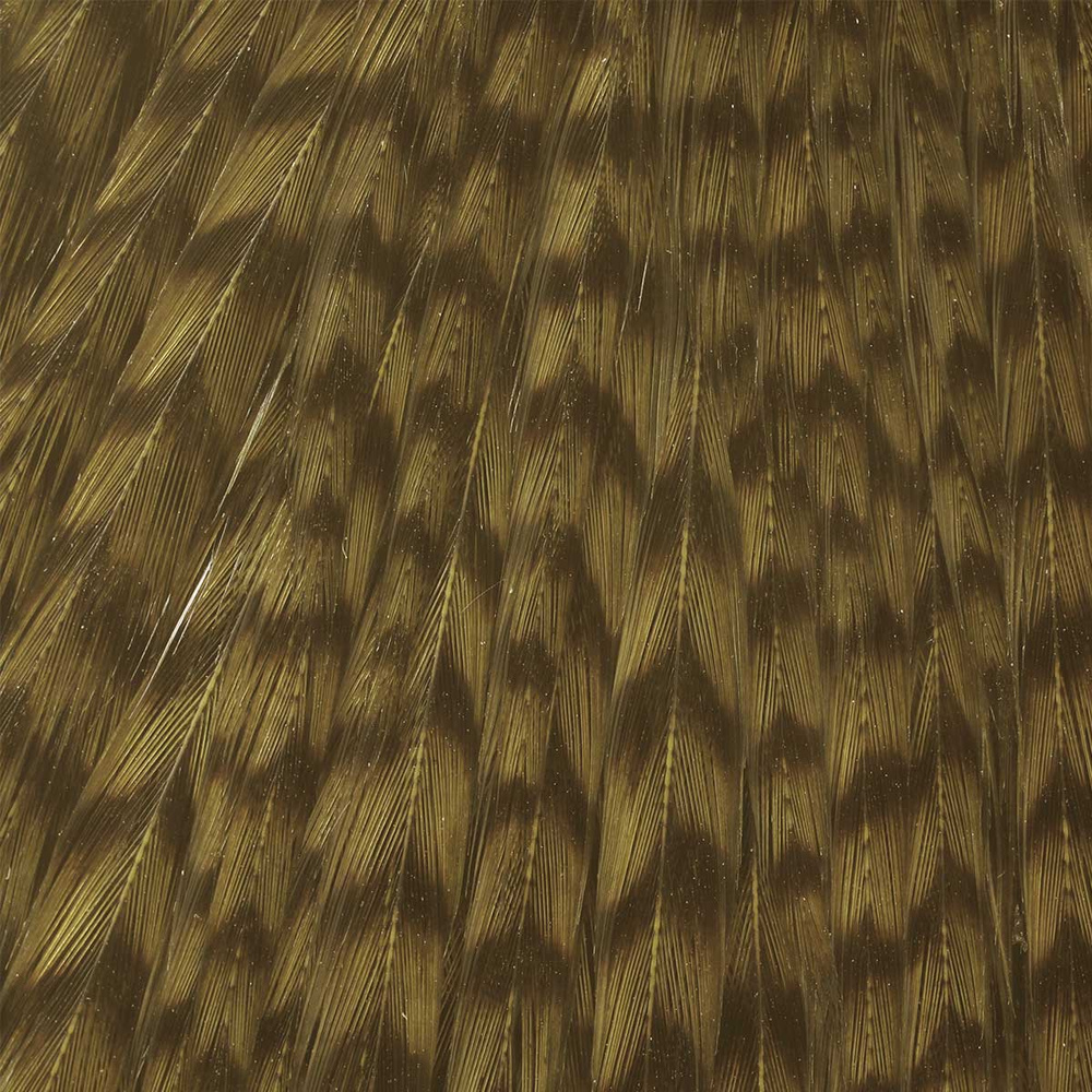 Over Grizzly - Tan