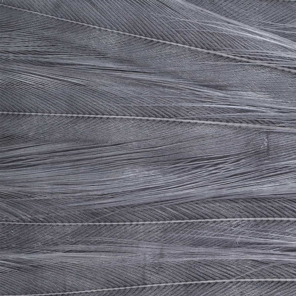 Ewing Wooly Bugger, värjätty kukonsatulan pala