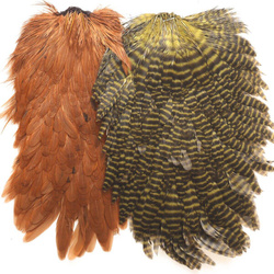 Hennensattel Hareline
