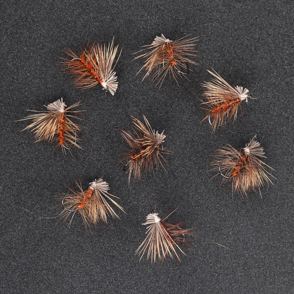 Golden Ribbed Cinamon Elk Caddis