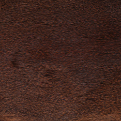 Wapsi Whole Pine Squirrel Skin