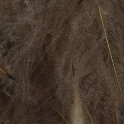 FFGene CDC Color Jambo Pack - 1 gr