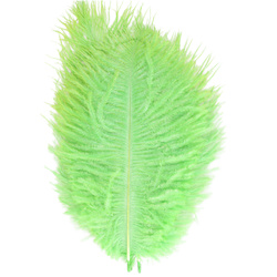 FFGene Pene hackle de struț