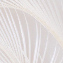 Hareline Stripped Goose Biots