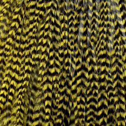 Ewing Grizzly Whole Saddles