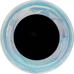 Perhonsidontasilmät FFGene Soft 3D- Eyes