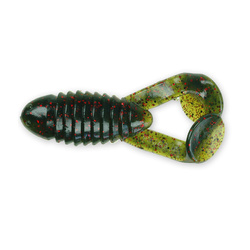 10.1 cm Gambler Cane Toad (5)