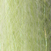Misty Green