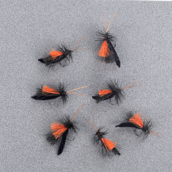 Poly Wings Extended Body Black Caddis