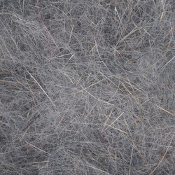 Spirit River UV2 Caddis Nymph