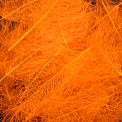 Hareline Cul De Canard