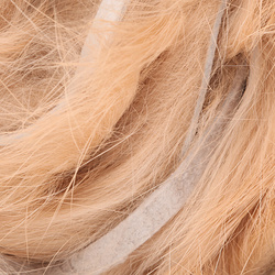 Kaninchen-Zonkerstreifen Hareline