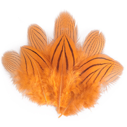 FFGene Silver Pheasant Feathers
